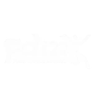 fdm ermita virgen del puerto logo